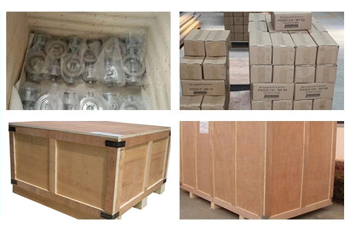 the packing of Gate Valve